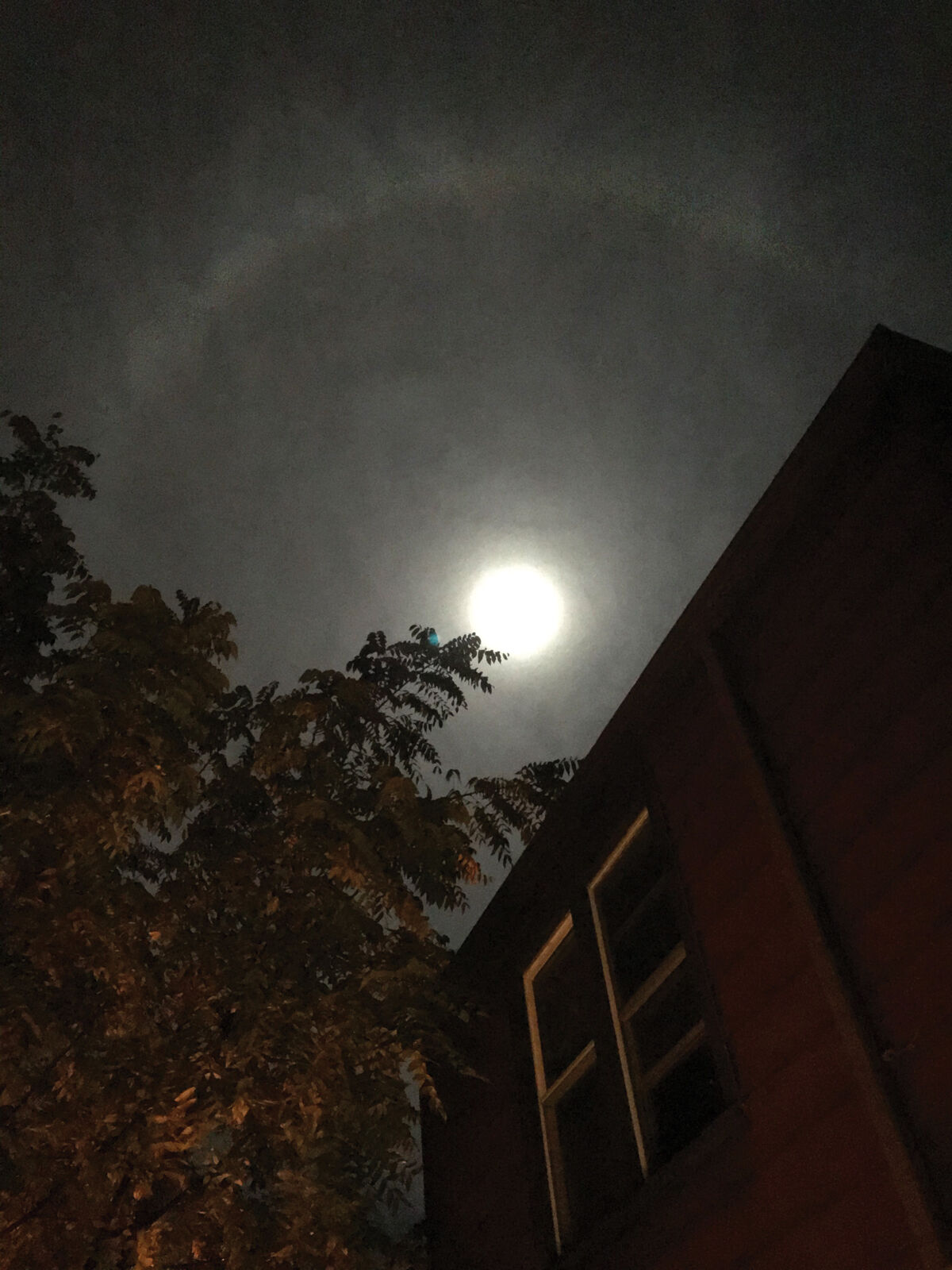 Ring around the moon